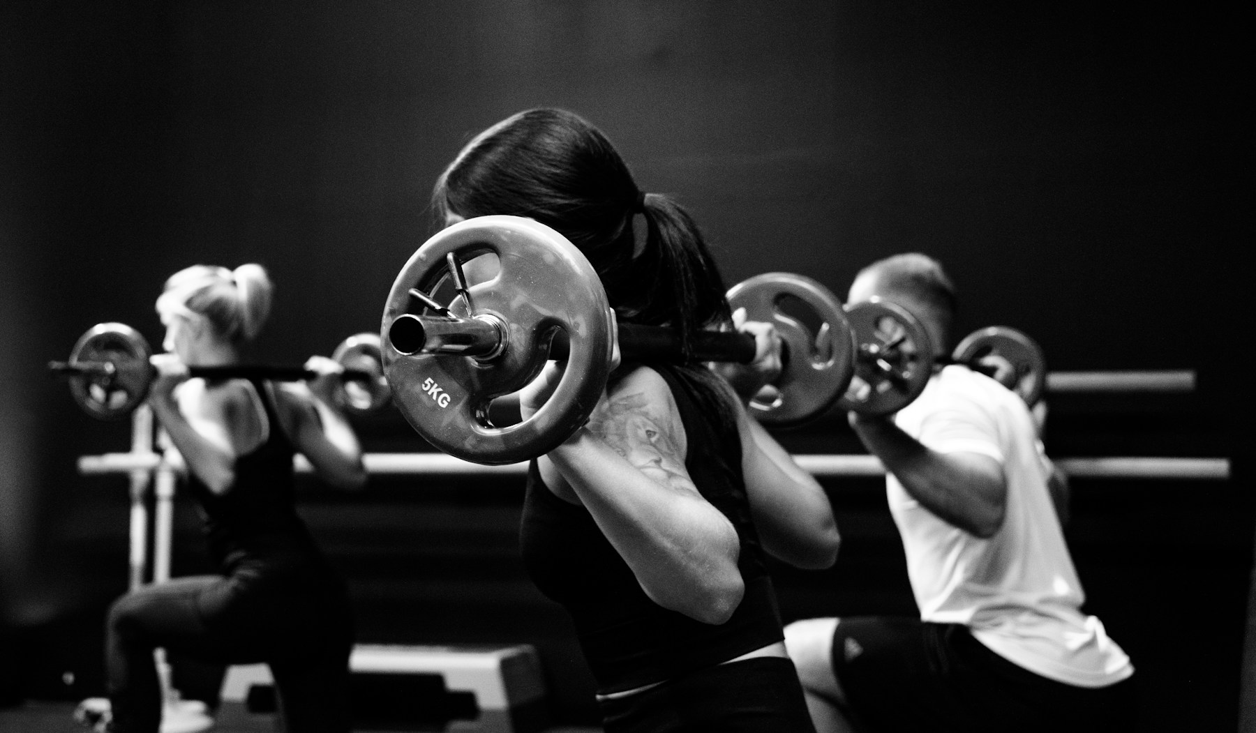 The Muscle Factory GYM concept equipment image